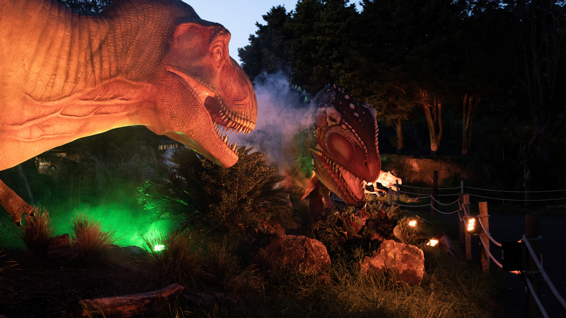 Foto: Highlite Group