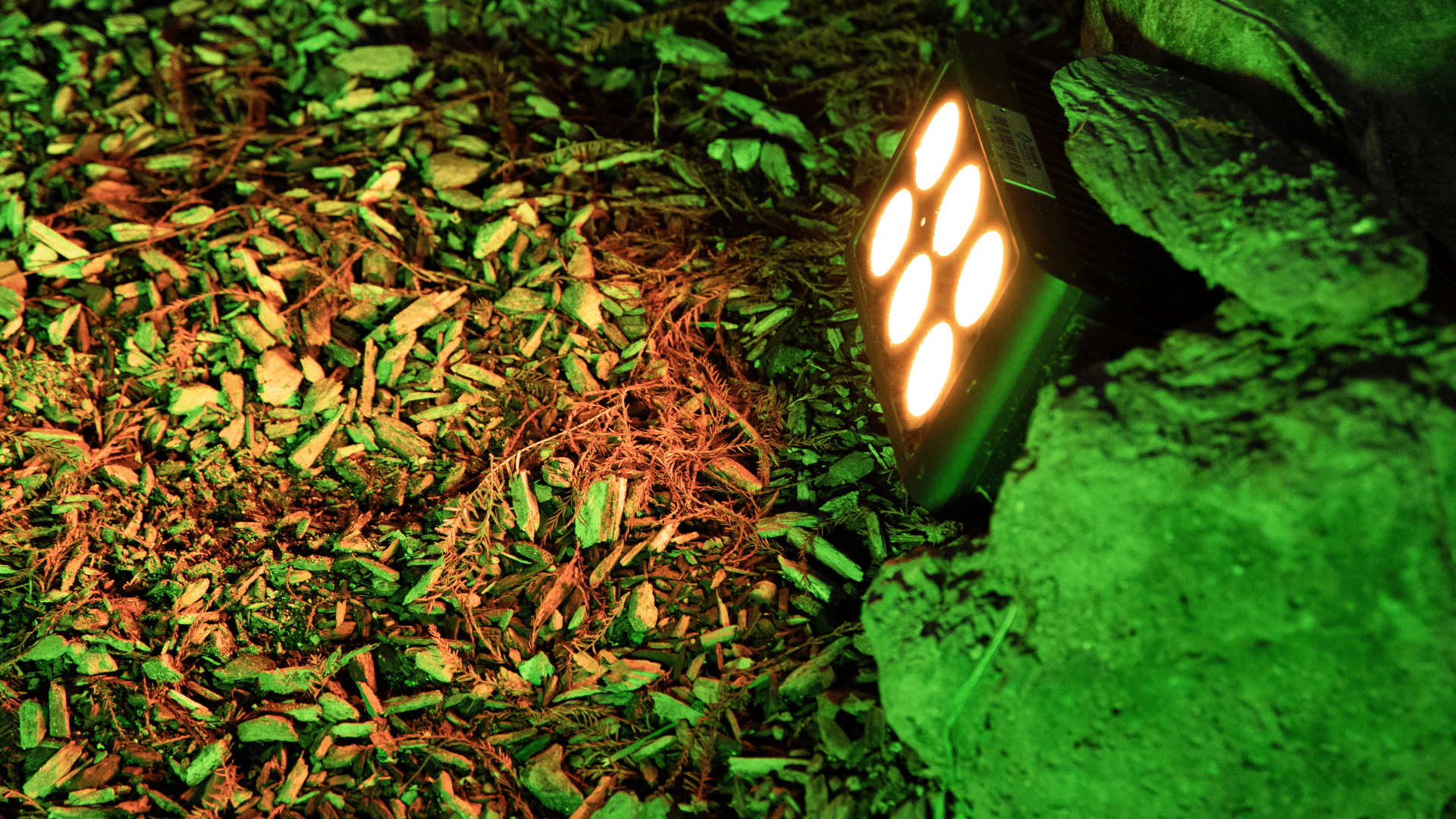 Foto: Highlite Group